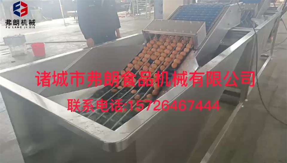 六排上蛋機