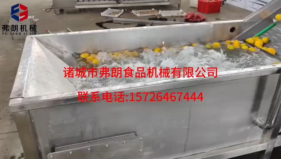 橙子清洗風(fēng)干分級(jí)流水線(xiàn)