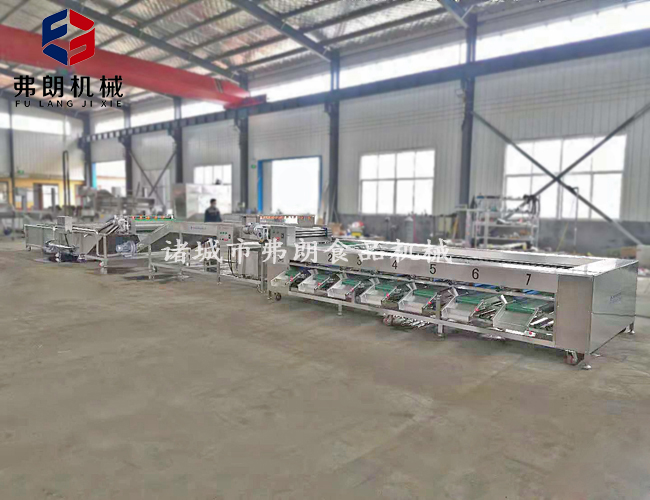 滾杠分級機(jī)流水線